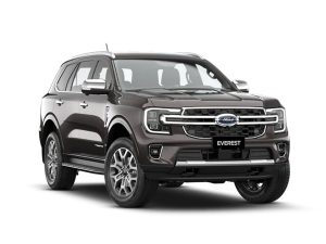 Ford Everest Dĩ An Bình Dương (7)