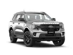 Ford Everest Dĩ An Bình Dương (8)