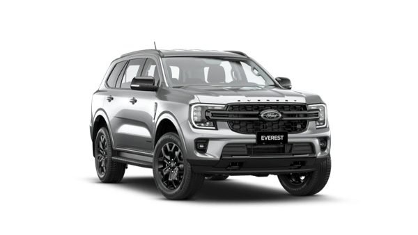 Ford Everest Dĩ An Bình Dương (8)