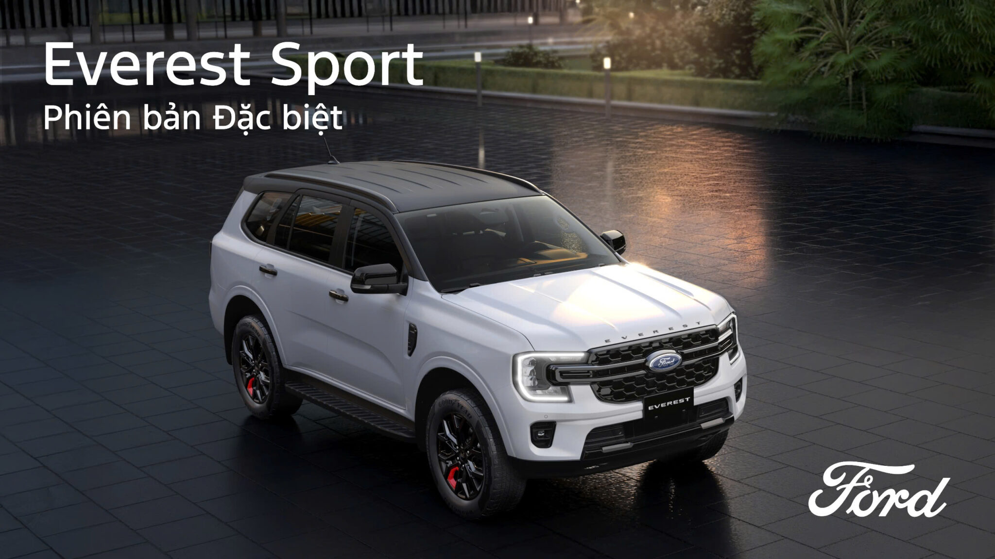 Dai Ly Di An Ford Binh Duong 6